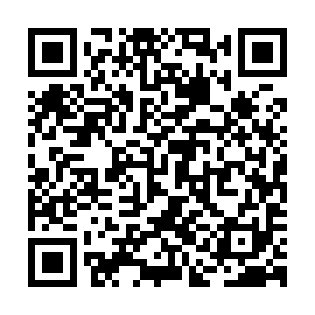 QR code for RAE991