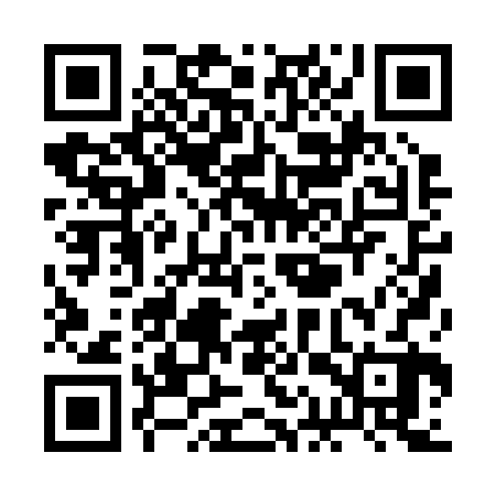 QR code for RAP222