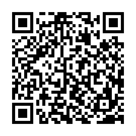 QR code for RAP236