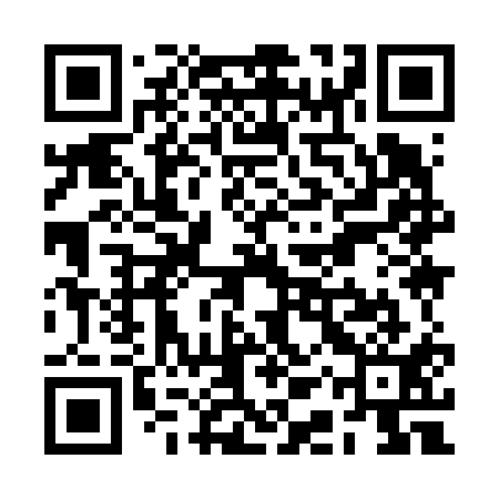QR code for RAY611
