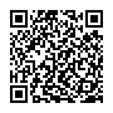 QR code for RAY669