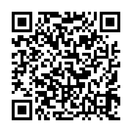 QR code for RDI419