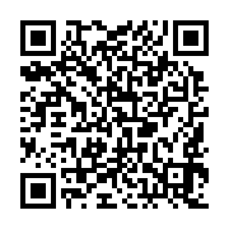 QR code for REY393