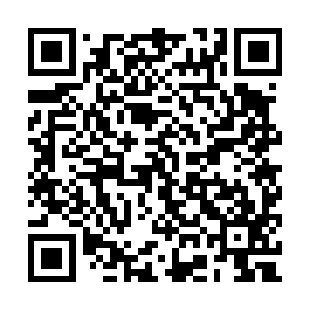 QR code for RGG497