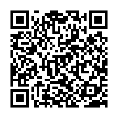 QR code for RIT799