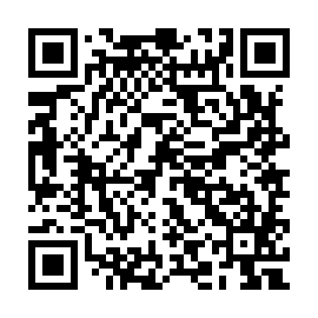 QR code for RIZ985