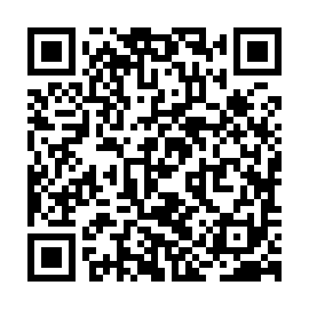 QR code for RIZ991