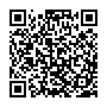 QR code for RJP541