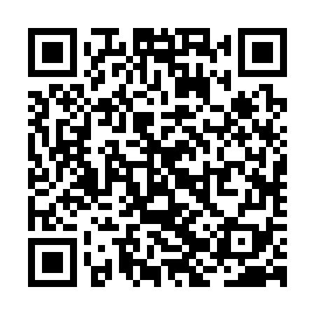 QR code for RJR379