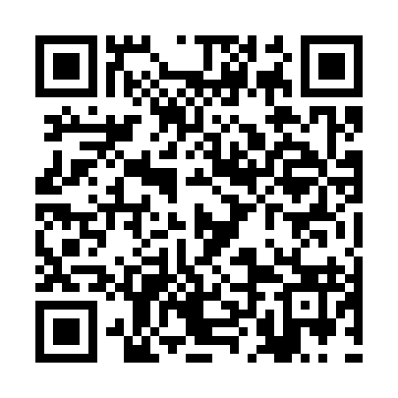 QR code for RLN393