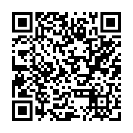 QR code for RMB208