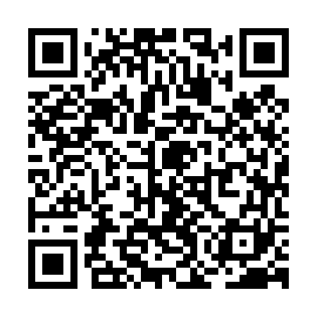 QR code for ROI461