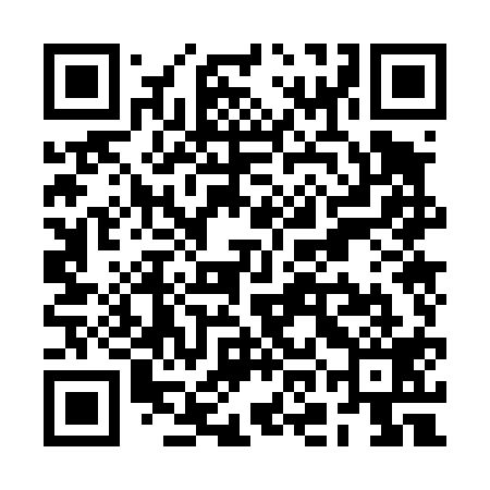 QR code for ROO419