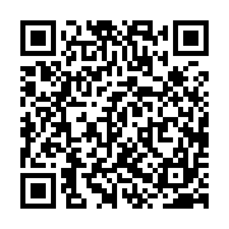 QR code for RPP917