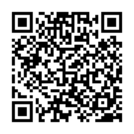 QR code for RSM295