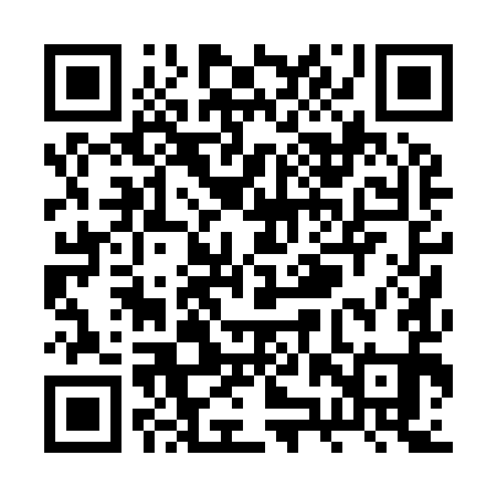 QR code for RZP991