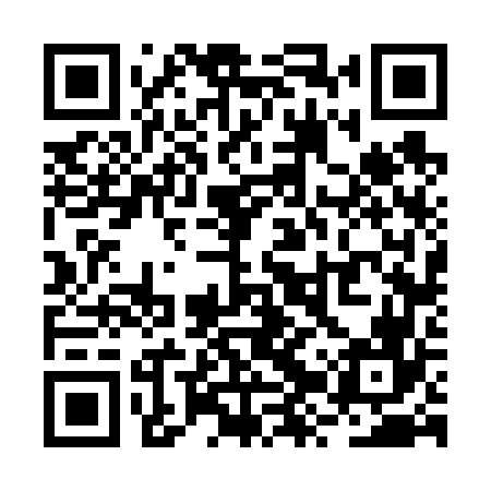 QR code for RZV666