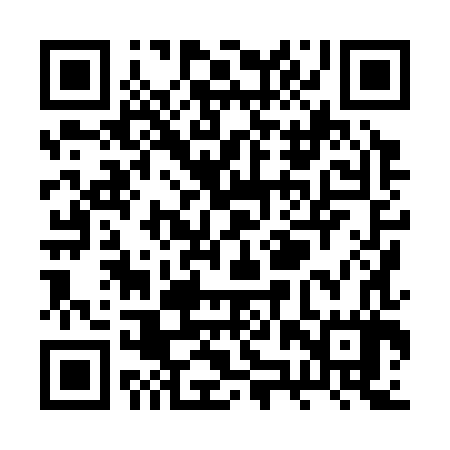 QR code for RZX387