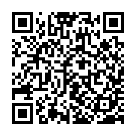 QR code for SAF381