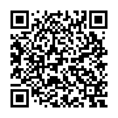 QR code for SBA313