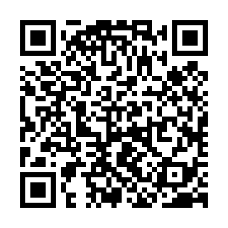 QR code for SCR439