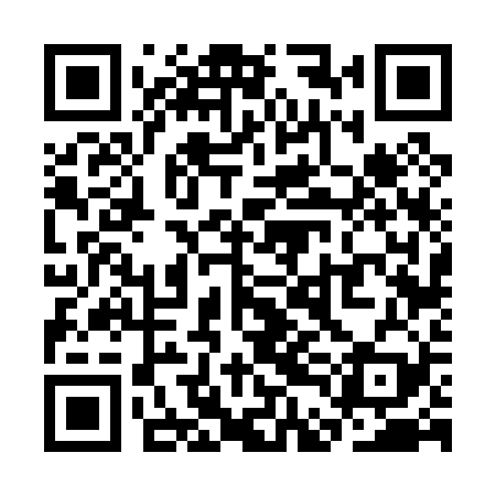 QR code for SDF029