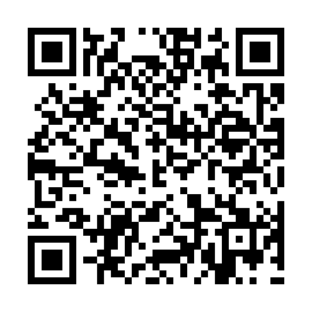 QR code for SDI381