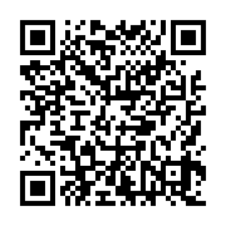 QR code for SFX439