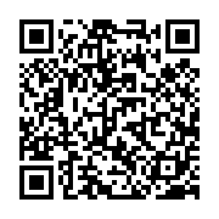 QR code for SGD451