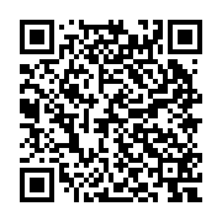 QR code for SII252
