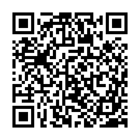 QR code for SII867