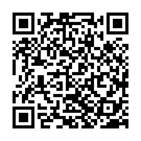 QR code for SJH838