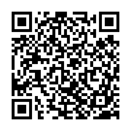 QR code for SJM667