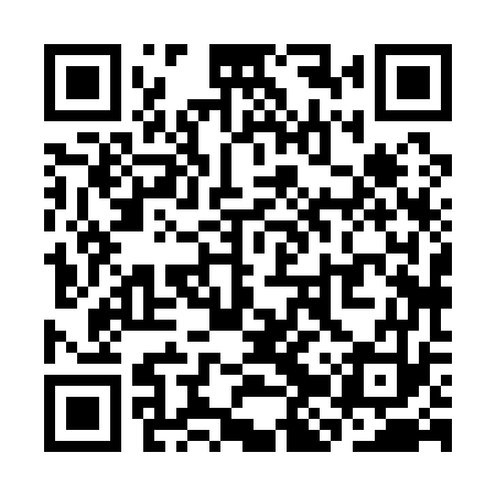 QR code for SJX173