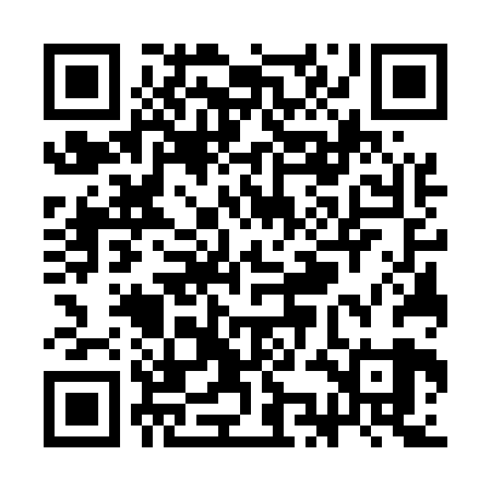 QR code for SKG529