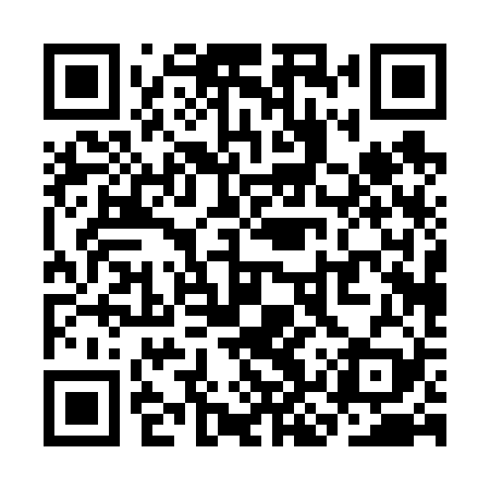 QR code for SKP629