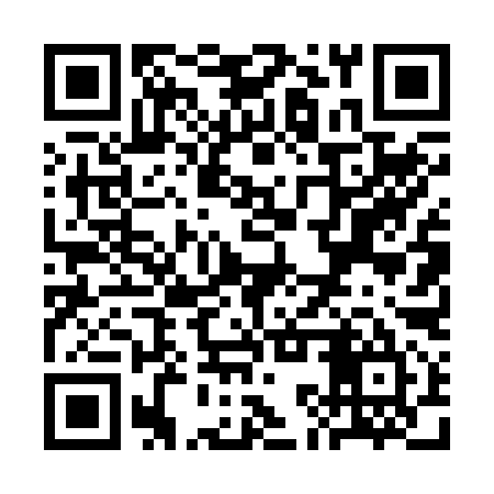 QR code for SKT295