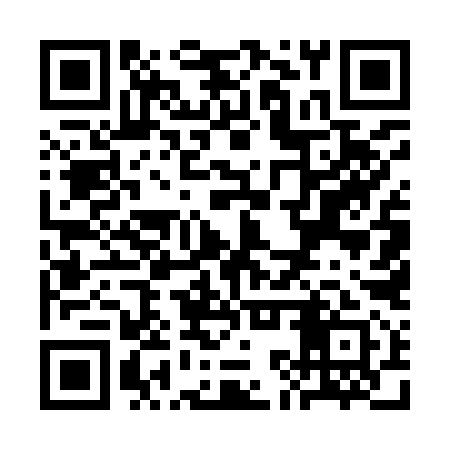 QR code for SKU991