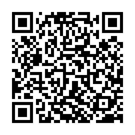 QR code for SLT509