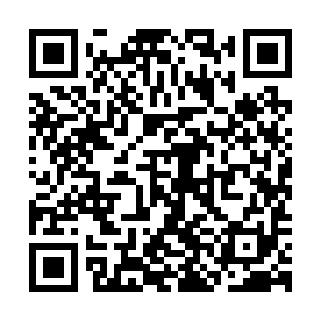 QR code for SNI291