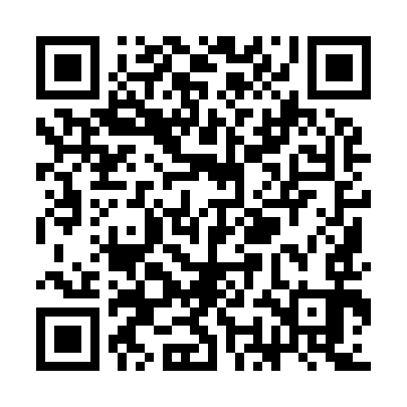 QR code for SOI993