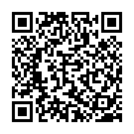 QR code for SPY038