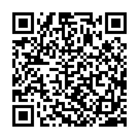 QR code for SSP133