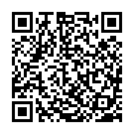 QR code for SSX599