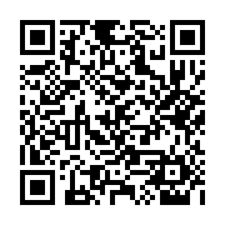 QR code for STZ384