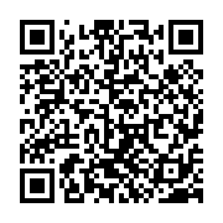 QR code for SVN011