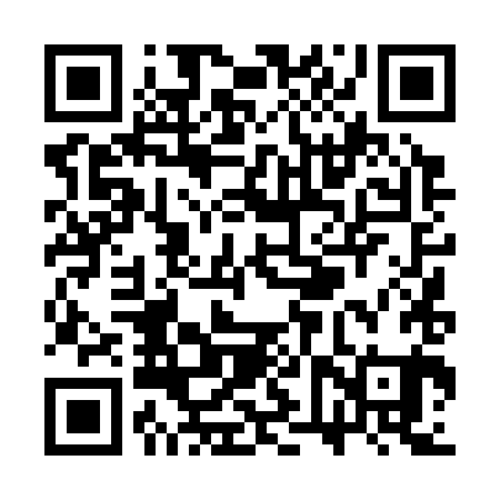 QR code for SVT381