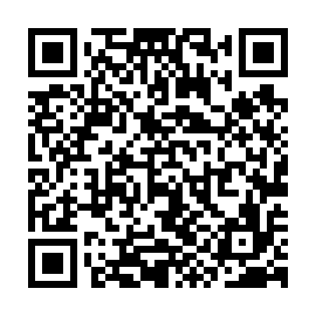 QR code for SYL616
