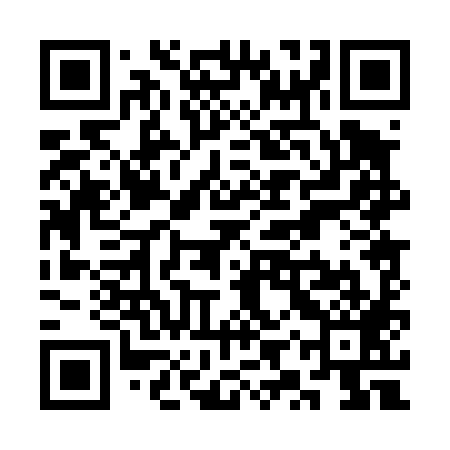 QR code for SYP489