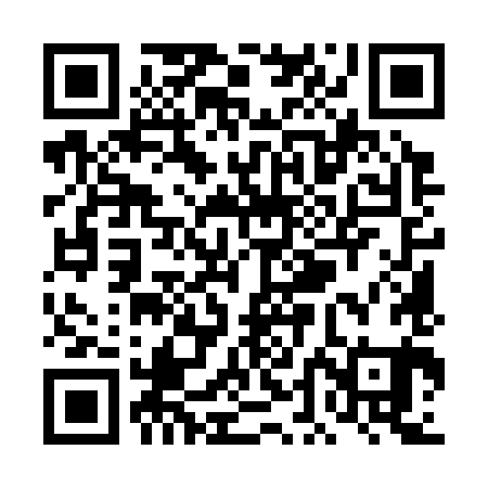 QR code for TDM381
